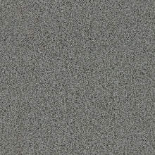 Load image into Gallery viewer, turf gym mat